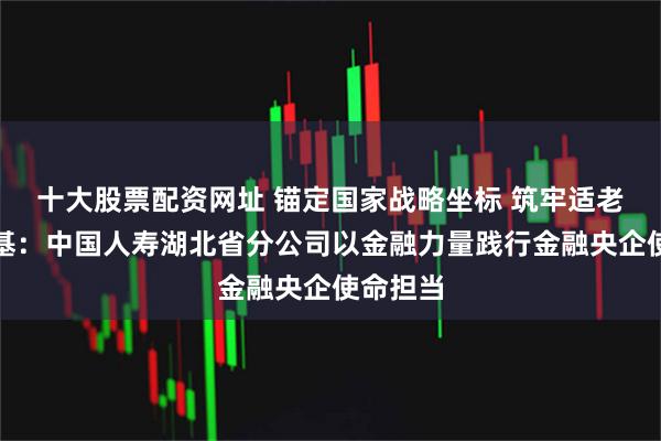 十大股票配资网址 锚定国家战略坐标 筑牢适老服务根基：中国人寿湖北省分公司以金融力量践行金融央企使命担当