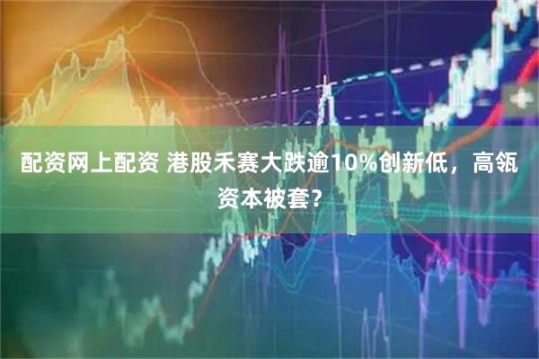 配资网上配资 港股禾赛大跌逾10%创新低，高瓴资本被套？